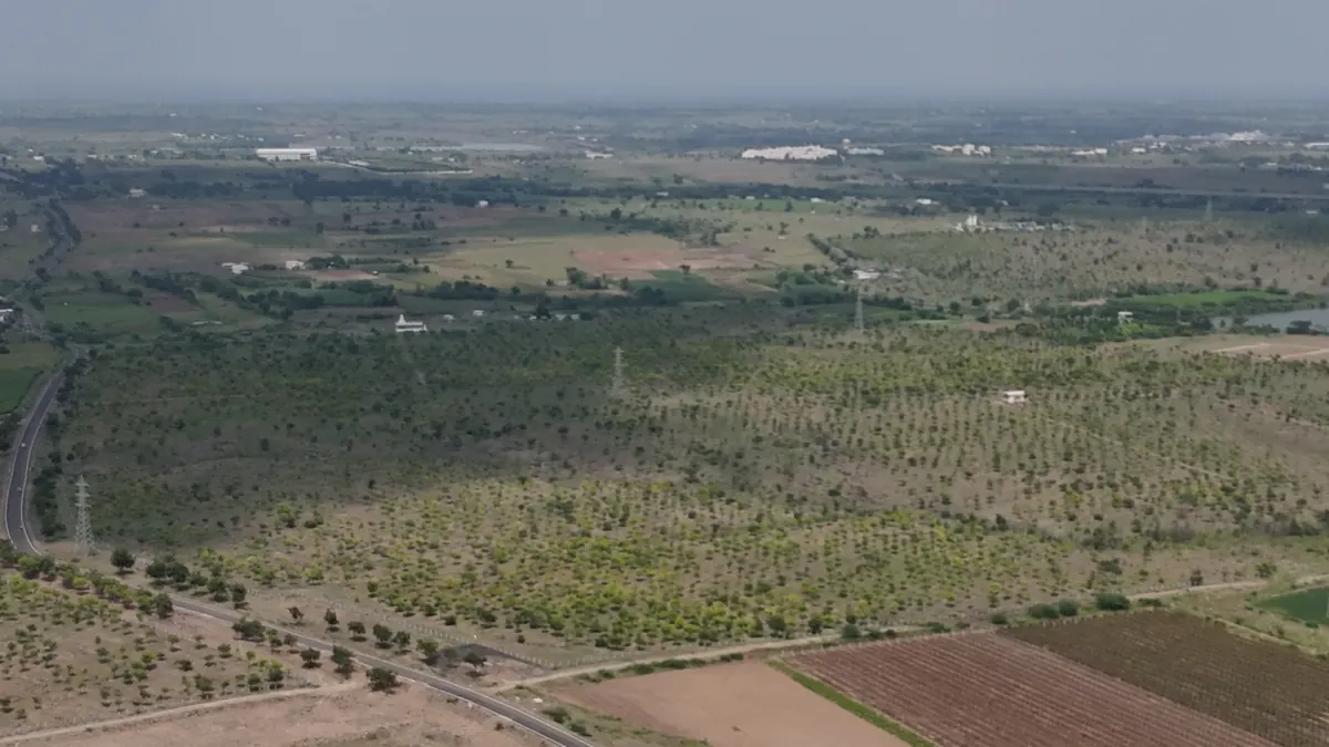 High altitude view showing scale of plantation